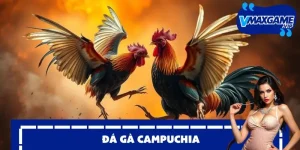 đá gà campuchia