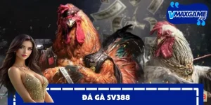 đá gà sv388