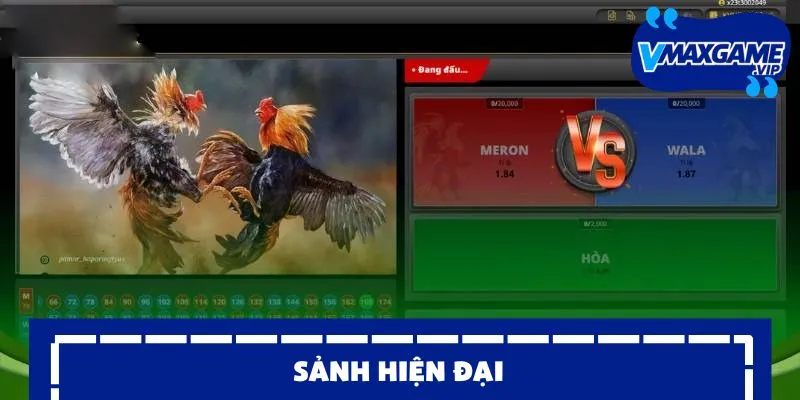 đá gà sv388 hiện đại