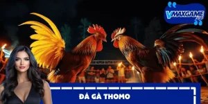 đá gà thomo