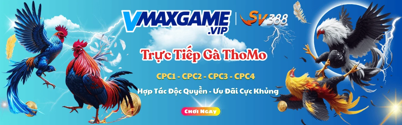 vmaxgame banner